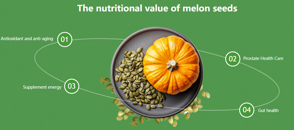 Pumpkin Seeds